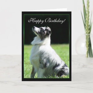 Feliz cumpleaños, tarjeta de bienvenida de pastor