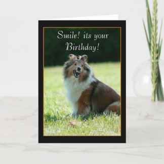 Feliz cumpleaños tarjeta de bienvenida de Shetland