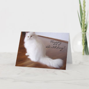 Feliz cumpleaños tarjeta de bienvenida para gato p