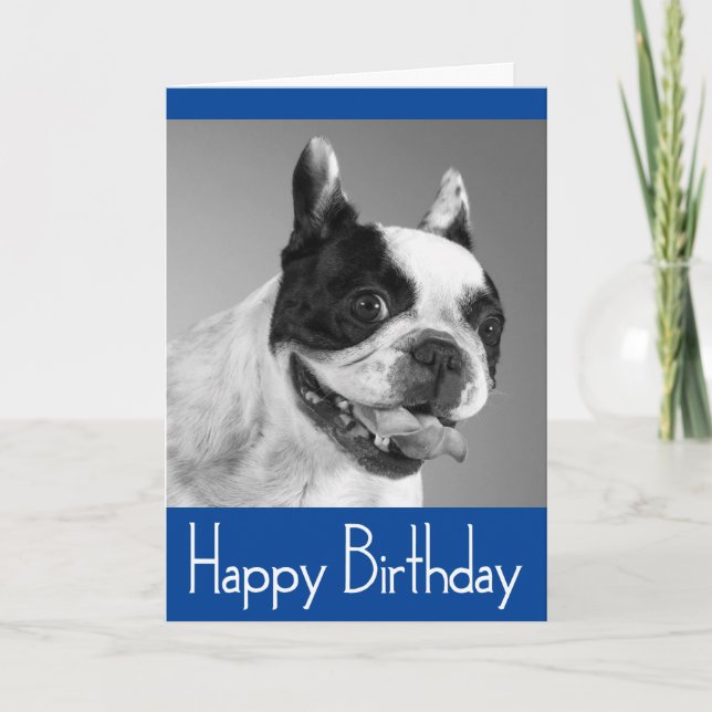 Feliz cumpleaños, tarjeta de Bulldog francesa de c (Anverso)