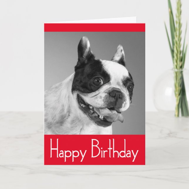 Feliz cumpleaños, tarjeta de Bulldog francesa de c (Anverso)