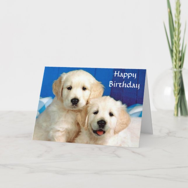 Feliz cumpleaños, tarjeta de cachorros de recupera (Anverso)