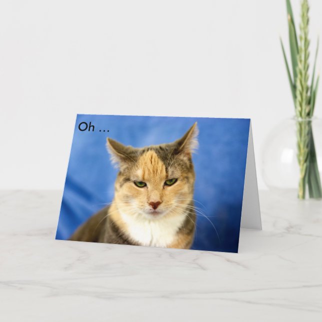 ¡FELIZ CUMPLEAÑOS! Tarjeta de cumpleaños con gato (Anverso)