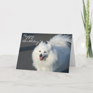 Feliz cumpleaños, tarjeta de felicitación del esqu