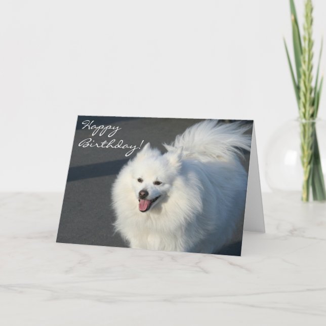 Feliz cumpleaños, tarjeta de felicitación del esqu (Anverso)