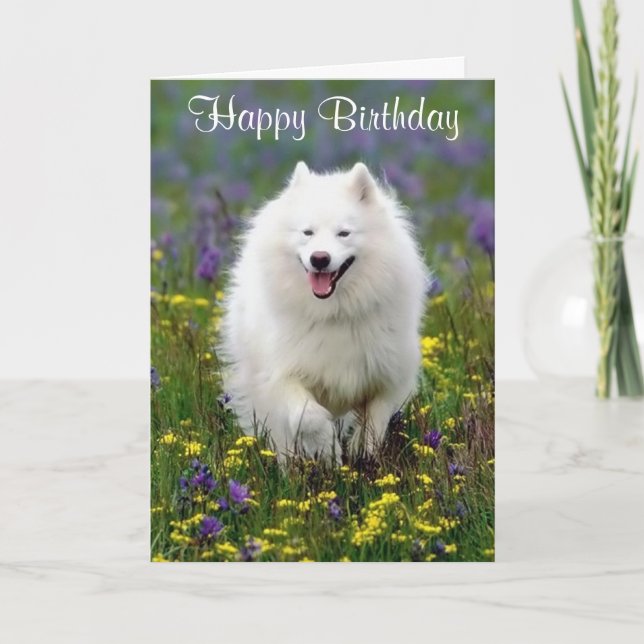 Feliz cumpleaños, tarjeta de felicitación para esq (Anverso)