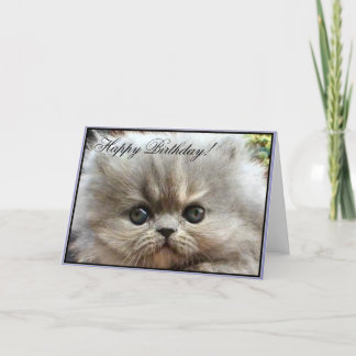 Feliz cumpleaños, tarjeta de felicitación para gat
