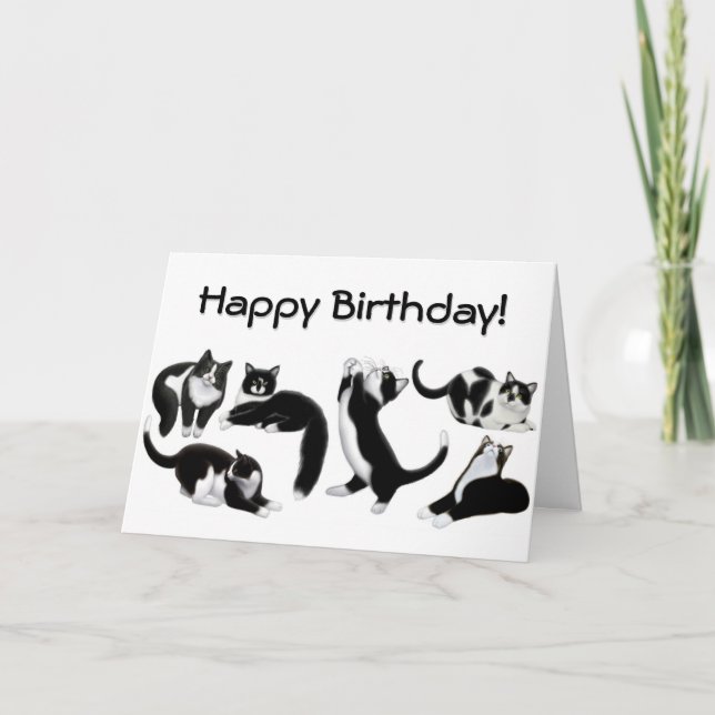 Feliz cumpleaños tarjeta de gatos de Tuxedo (Anverso)