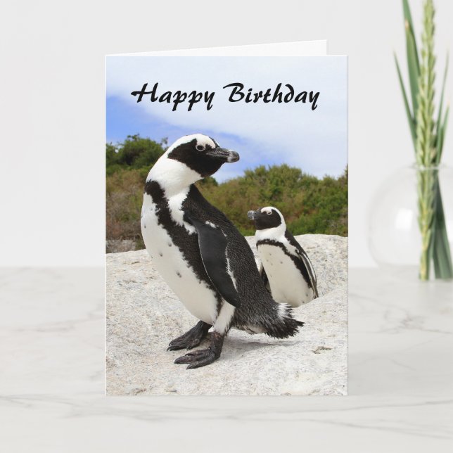 Feliz cumpleaños tarjeta de humor para los pingüin (Anverso)