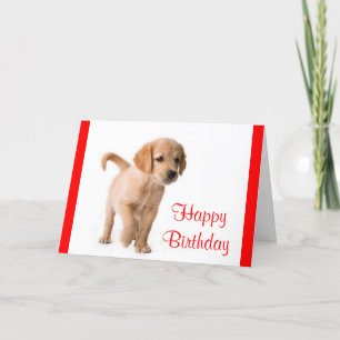 Feliz cumpleaños, tarjeta de perro adormidera