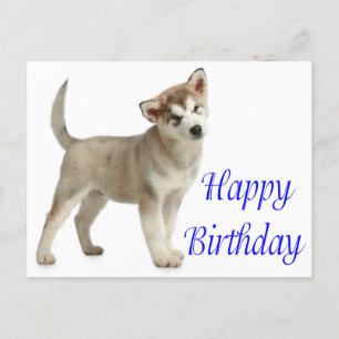Feliz cumpleaños, tarjeta de perro pagador de Mala