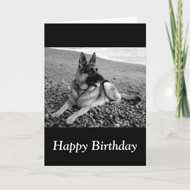 Feliz cumpleaños, tarjeta de perro pastor alemán (Anverso)