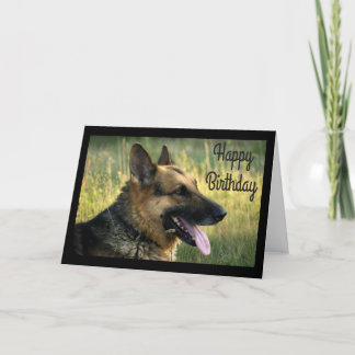 Feliz cumpleaños, tarjeta de perro pastor de pasto