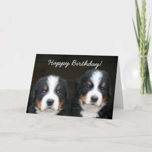 Feliz cumpleaños, tarjeta de saludo de las crías d