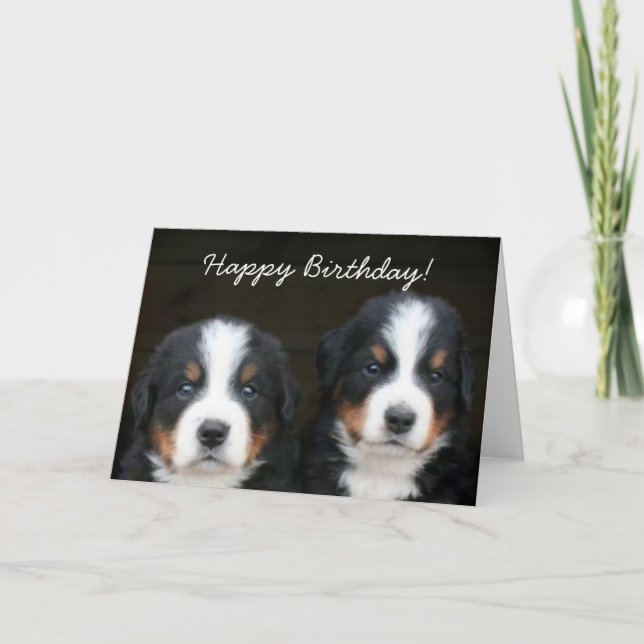 Feliz cumpleaños, tarjeta de saludo de las crías d (Anverso)