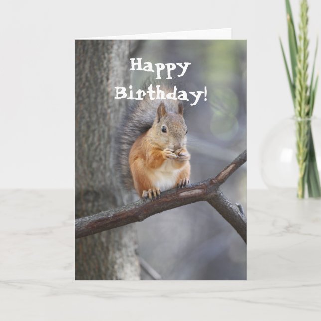 Feliz cumpleaños tarjeta de saludo Red Squirrel (Anverso)