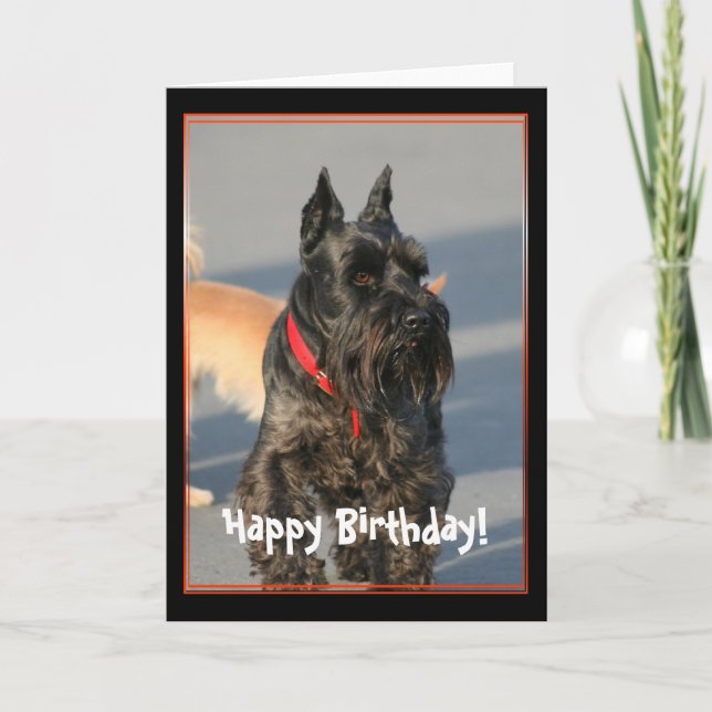 Feliz Cumpleaños Tarjeta de Saludo Terrier Escoces (Anverso)