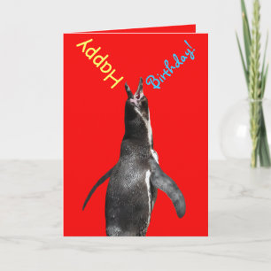 ¡Feliz cumpleaños! Tarjeta divertida pingüino grit
