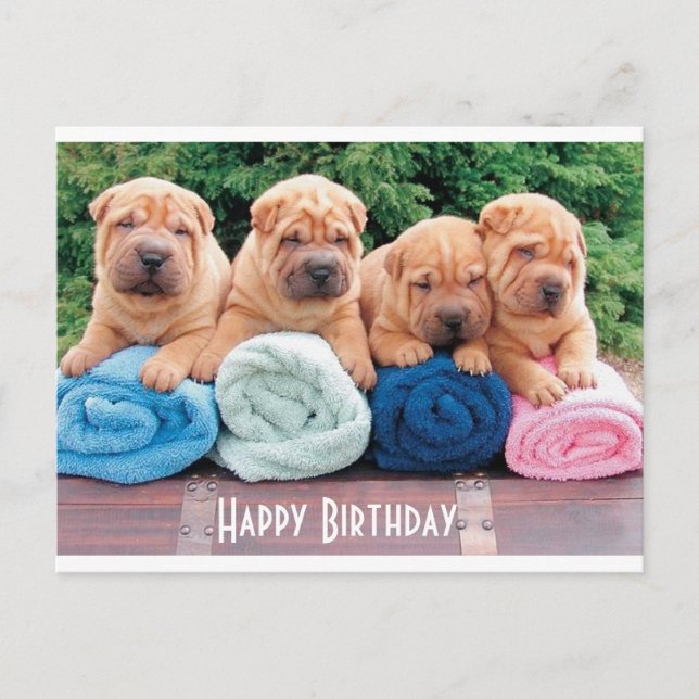 Feliz cumpleaños, tarjeta postal china de perro co (Anverso)