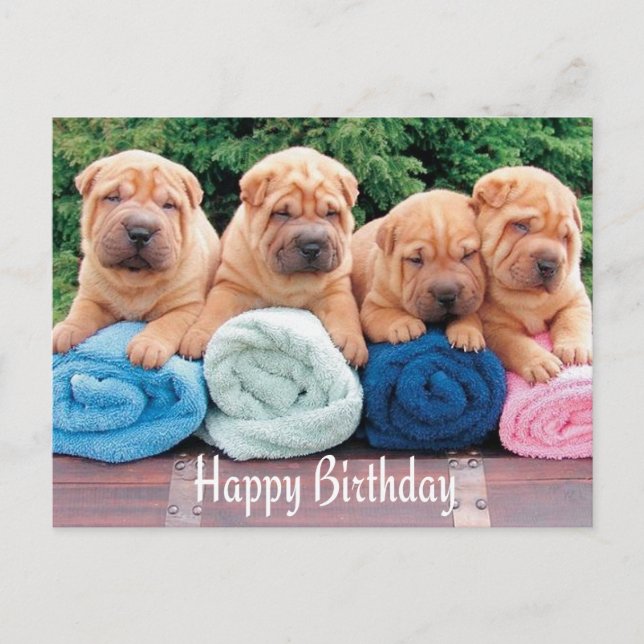 Feliz cumpleaños, tarjeta postal china de perro co (Anverso)
