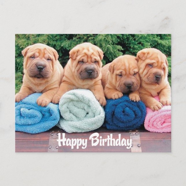 Feliz cumpleaños, tarjeta postal china de perro co (Anverso)