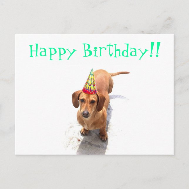 Feliz cumpleaños, tarjeta postal Dachshund (Anverso)