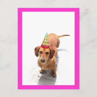 Feliz cumpleaños, tarjeta postal Dachshund
