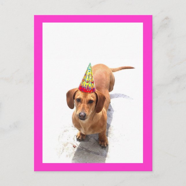 Feliz cumpleaños, tarjeta postal Dachshund (Anverso)