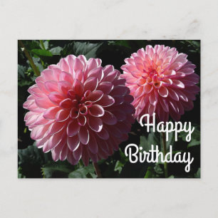 Feliz Cumpleaños Tarjeta Postal Dahlia Valley Porc