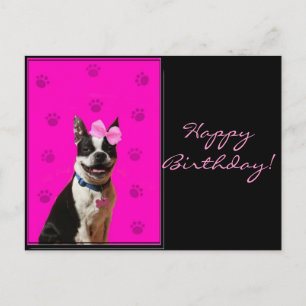 Feliz cumpleaños, tarjeta postal de Boston Terrier