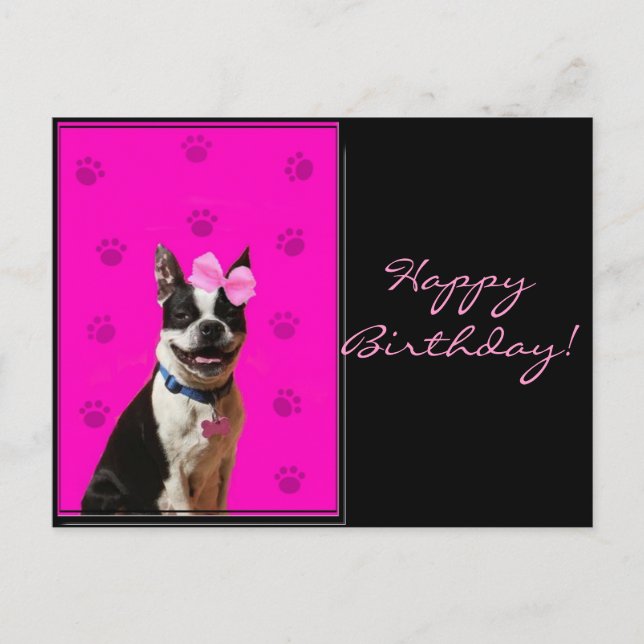 Feliz cumpleaños, tarjeta postal de Boston Terrier (Anverso)
