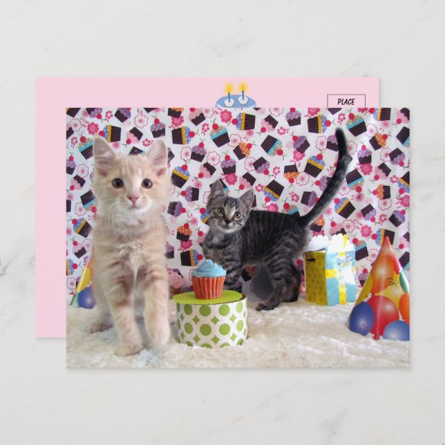 Feliz Cumpleaños - Tarjeta Postal de Gato (Anverso / Reverso)