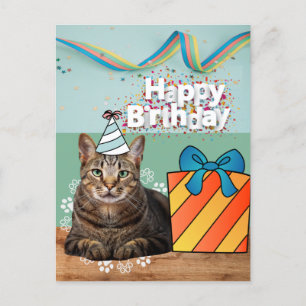 Feliz cumpleaños tarjeta postal de gato