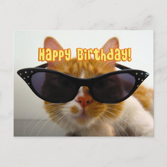 Feliz Cumpleaños - Tarjeta Postal de Gato Genial c (Anverso)