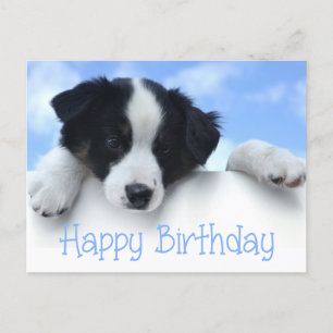 Feliz cumpleaños tarjeta postal de perro con porci