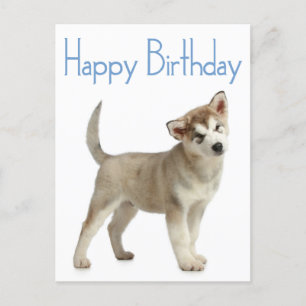 Feliz cumpleaños, tarjeta postal de perro copiado 
