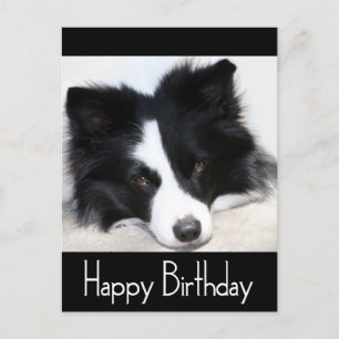 Feliz cumpleaños tarjeta postal de perro de porcin