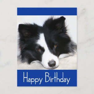 Feliz cumpleaños tarjeta postal de perro de porcin