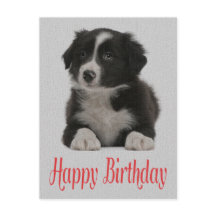 Feliz cumpleaños tarjeta postal de perro de porcin
