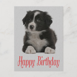 Feliz cumpleaños tarjeta postal de perro de porcin