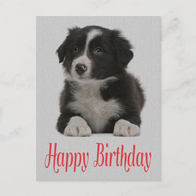 Feliz cumpleaños tarjeta postal de perro de porcin (Anverso)