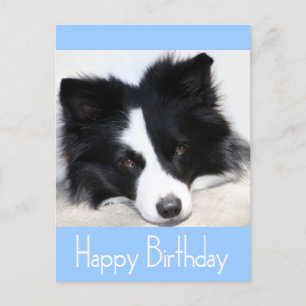 Feliz cumpleaños tarjeta postal de perro de porcin
