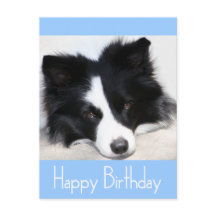 Feliz cumpleaños tarjeta postal de perro de porcin