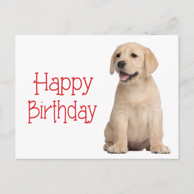 Feliz cumpleaños tarjeta postal de recuperación de (Anverso)