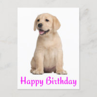 Feliz cumpleaños tarjeta postal de recuperación de
