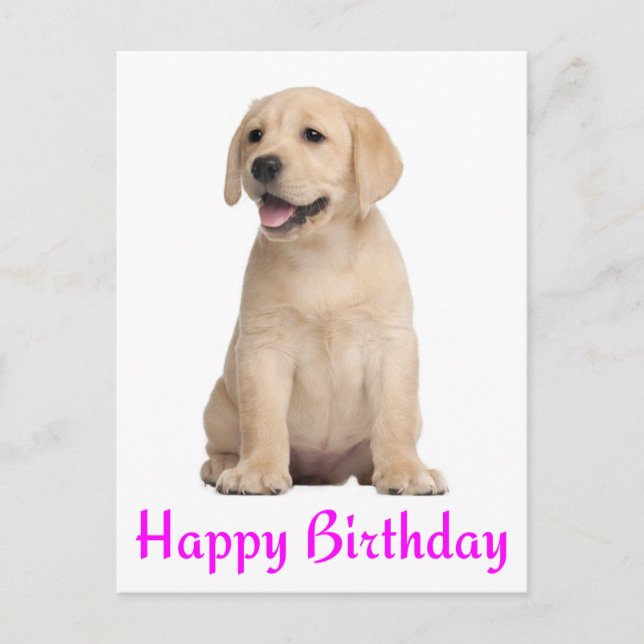 Feliz cumpleaños tarjeta postal de recuperación de (Anverso)