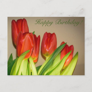 ¡Feliz Cumpleaños! Tarjeta Postal de Tulipanes