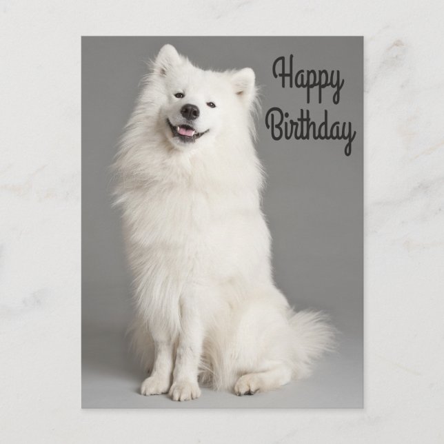 Feliz cumpleaños, tarjeta postal del perro del esq (Anverso)