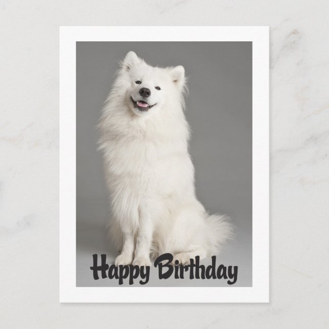 Feliz cumpleaños, tarjeta postal del perro del esq (Anverso)