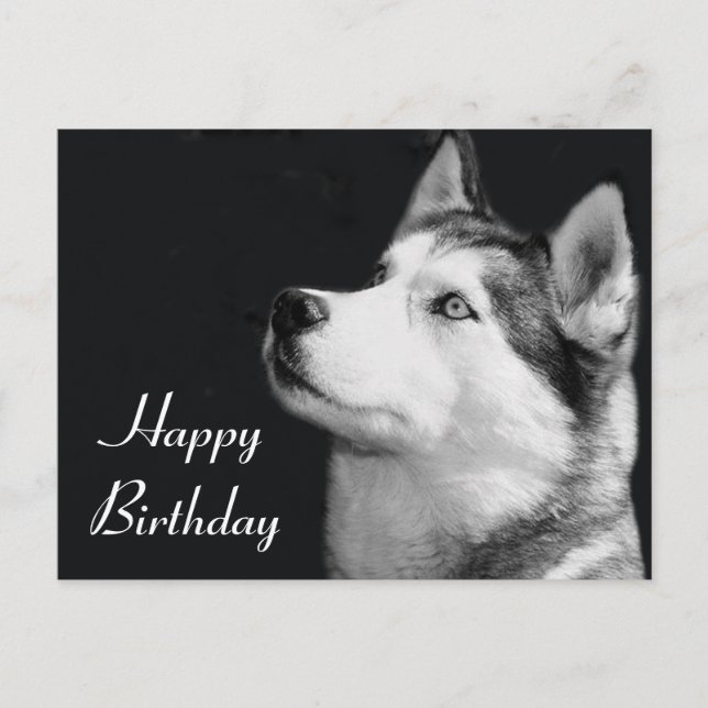 Feliz cumpleaños, tarjeta postal siberiana Husky p (Anverso)